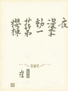 樱花动漫夜勤病栋第一季