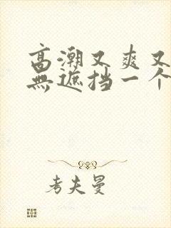 高潮又爽又黄又无遮挡一个人看的