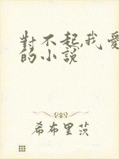 对不起,我爱你的小说