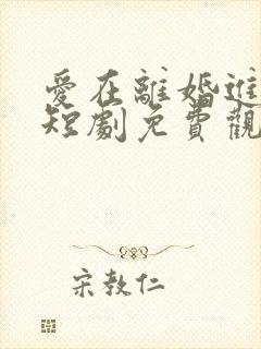 爱在离婚进行时短剧免费观看封面