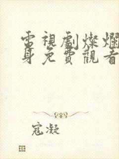 电视剧灿烂的转身免费观看高清