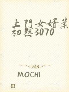 上门女婿叶辰萧初然3070