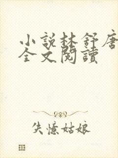 小说林舒唐亦琛全文阅读