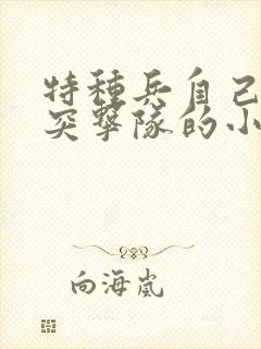 特种兵自己建立突击队的小说