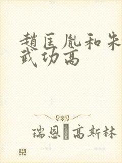 赵匡胤和朱棣谁武功高