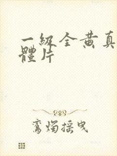 一级全黄真人裸体片