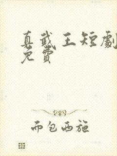 真武王短剧全集免费封面