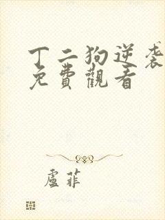 丁二狗逆袭人生免费观看封面