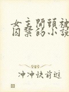 女主开头被锁链囚禁的小说