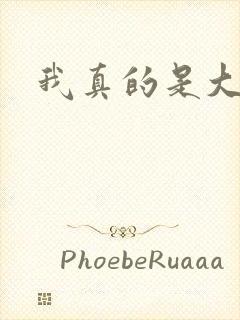 我真的是大反派