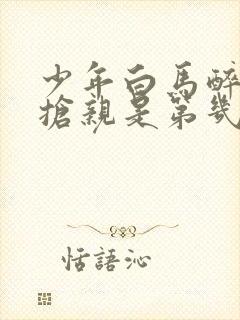 少年白马醉春风抢亲是第几集