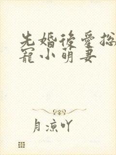 先婚后爱总裁盛宠小萌妻