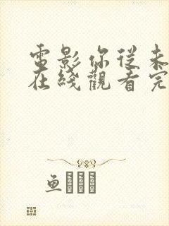 电影你从未在此在线观看完整版