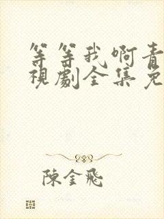 等等我啊青春电视剧全集免费观看