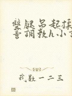 双腿吊起揉捏花蒂调教h小说封面