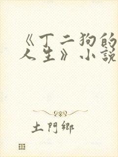 《丁二狗的逍遥人生》小说封面