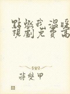 点燃我温暖你电视剧免费高清观看