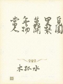 当年万里觅封侯人物关系图