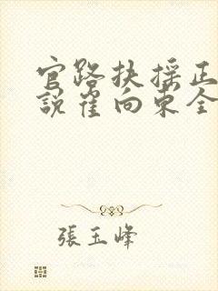 官路扶摇正版小说崔向东全本阅读