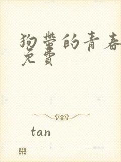 狗带的青春奇犽免费