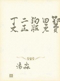 丁二狗田鄂茹全文正版免费阅读封面