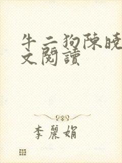 牛二狗陈晓燕全文阅读封面