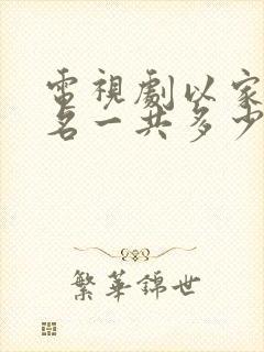 电视剧以家人之名一共多少集