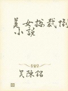 美女总裁倒追我 小说封面