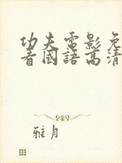 功夫电影免费观看国语高清