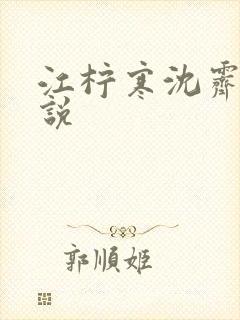 江柠寒沈霁平小说封面