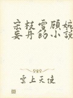 宋枝雪顾婉禾江妄舟的小说