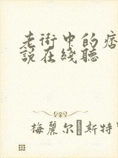 老街中的痞子小说在线听