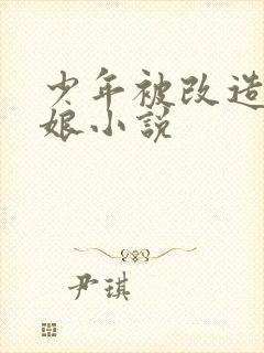 少年被改造成男娘小说