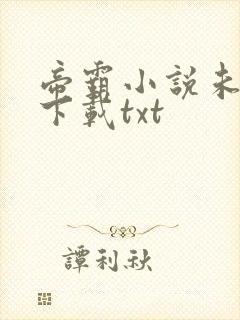 帝霸小说未删版下载txt封面