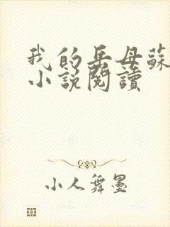 我的岳母苏沛真小说阅读