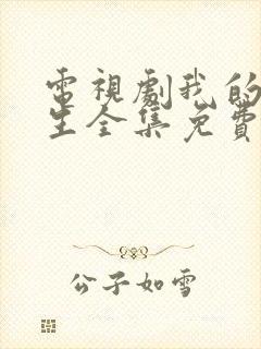 电视剧我的后半生全集免费观看封面