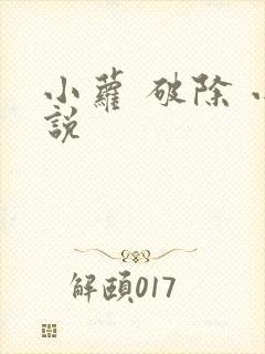 小萝 破除 小说