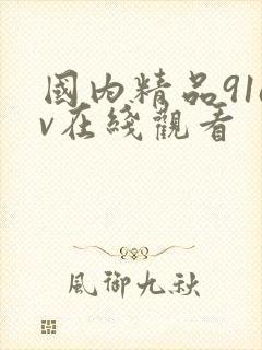 国内精品91av在线观看