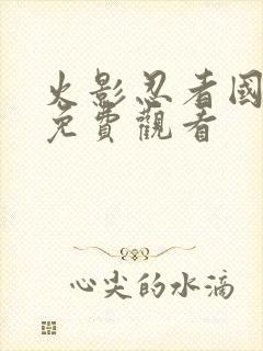 火影忍者国语版免费观看封面