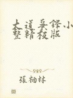 大道争锋小说完整精校版