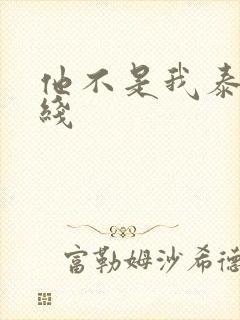 他不是我泰剧在线