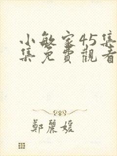 小敏家45集全集免费观看