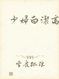 少妇白洁高义h