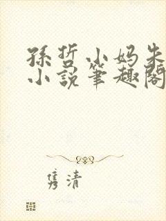 孙哲小妈朱颜的小说笔趣阁