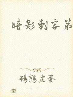 暗影刺客第五季