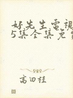 好先生电视剧45集全集免费播放封面