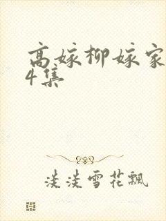 高嫁柳嫁家1到4集