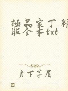 极品家丁 精校版全本txt