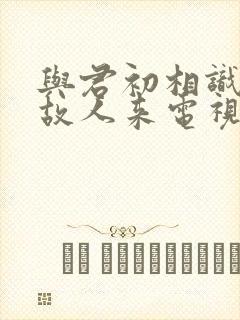 与君初相识恰似故人来电视剧