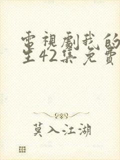 电视剧我的后半生42集免费播放器